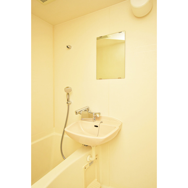 ロイヤルヒル神戸三ノ宮Ⅱの洗面所|洗面所です