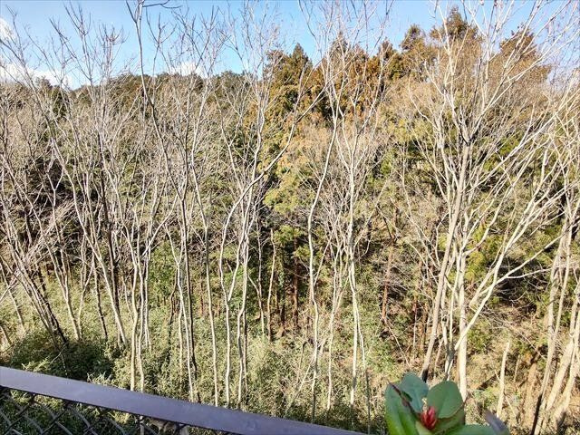 【展望】の画像