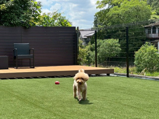 【その他共用部分】 | エントランスライフ宝ヶ池 | 敷地内に入居者専用のドッグランを併設