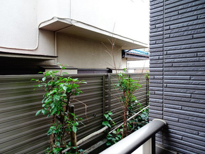 【展望】 | プルーリオン浜田山