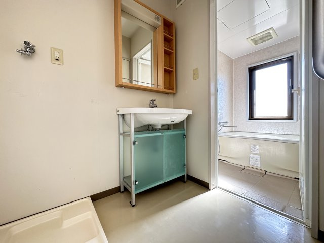 TERRACE Iの洗面所