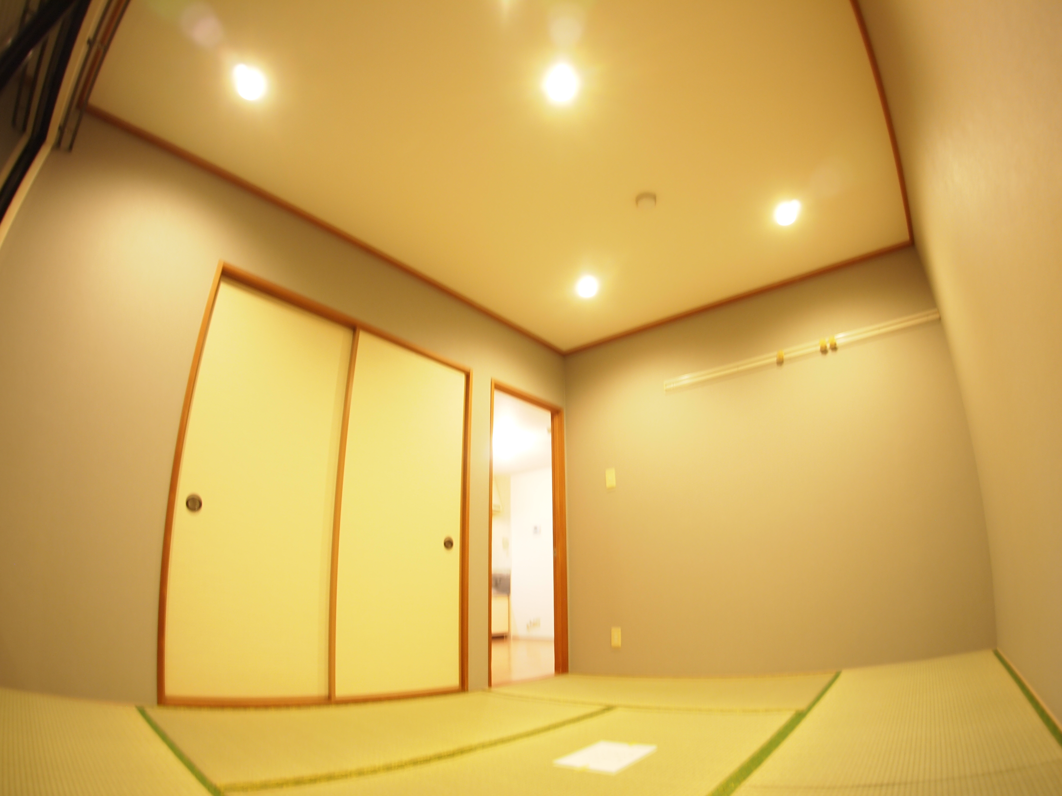 ビューバレーKⅡ