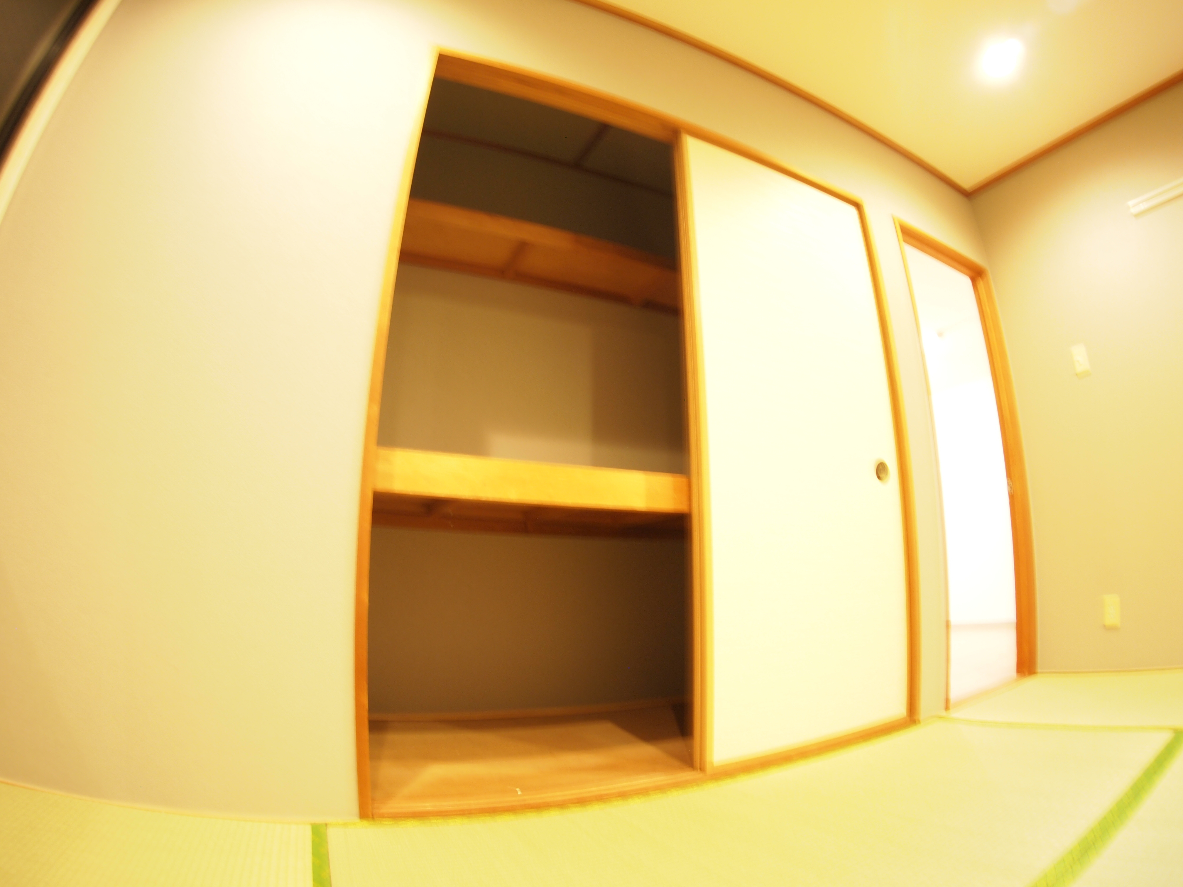 ビューバレーKⅡ