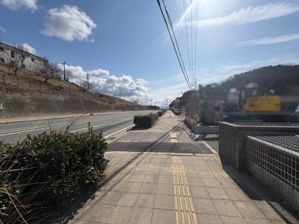 アゼリアの前面道路含む現地写真