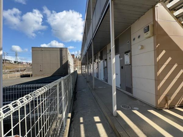 アゼリアのその他