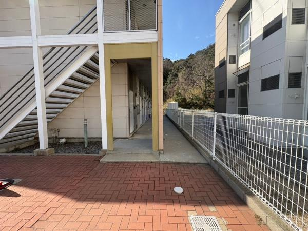 アゼリアのその他