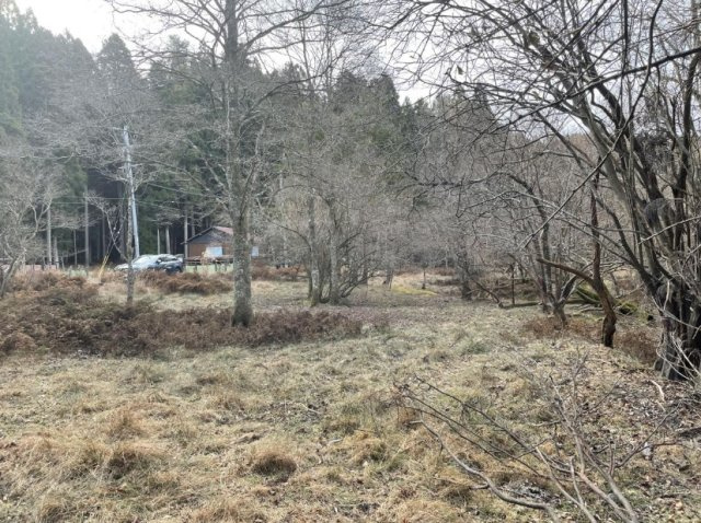 【外観】 | S11835-大原小中 | 建物より道路（東）側