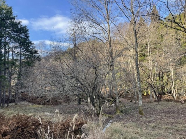 【外観】 | S11835-大原小中 | 建物より西側