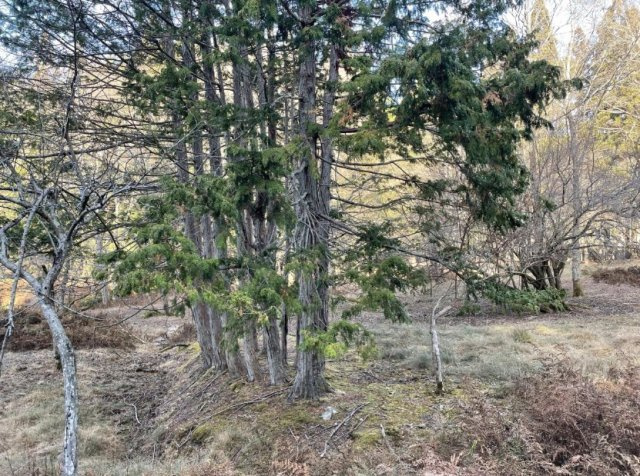 【外観】 | S11835-大原小中 | 建物より南側