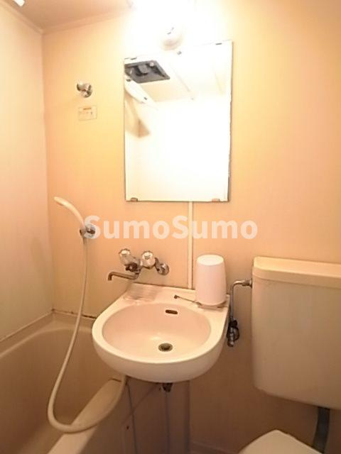 メゾン・ド・アヴニールの洗面所