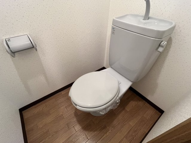 アミスタ菅原
