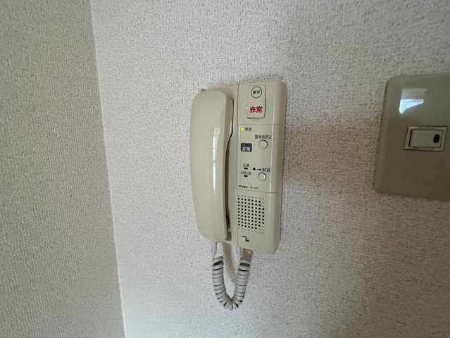 アミスタ菅原