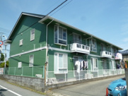 たちばなの画像