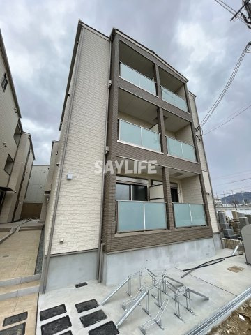 F asecia laniの外観