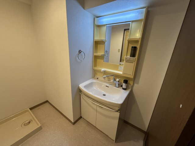 アルコート高岡の洗面所