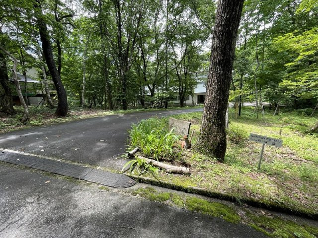 【その他】 | 高山荘川町土地
