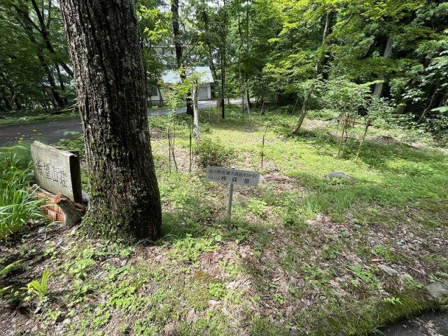 【その他】 | 高山荘川町土地