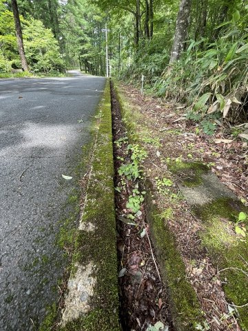 【前面道路含む現地写真】 | 高山荘川町土地