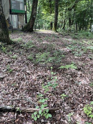 【外観】 | 高山荘川町土地