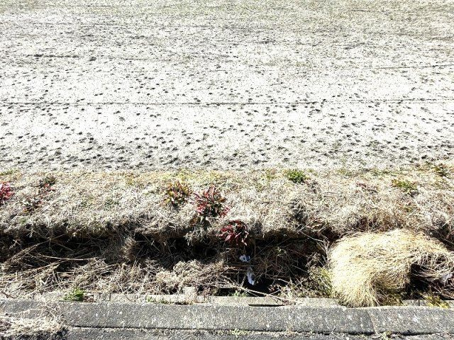 【その他】 | 小佐野町７丁目売土地