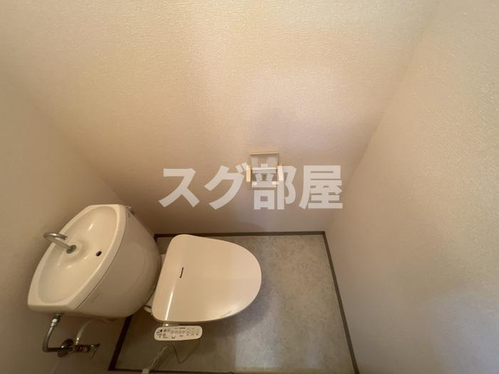 シングルコート田園のトイレ