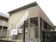 アゼリアの画像