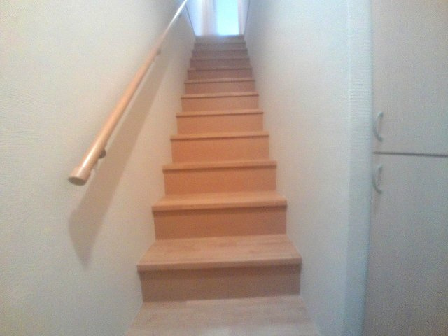 ドゥムールストレチアのその他