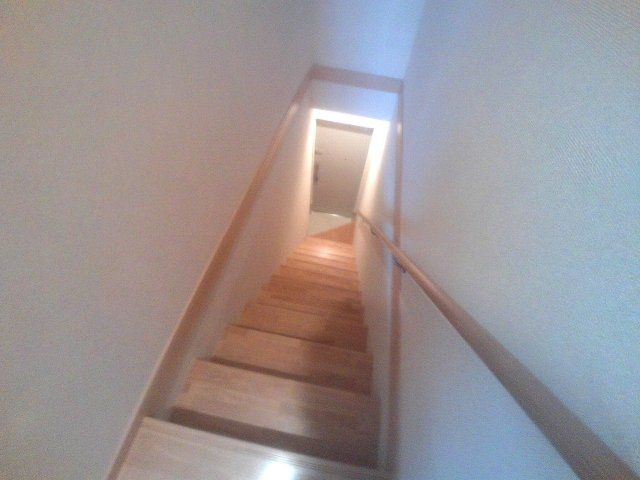 ドゥムールストレチアのその他