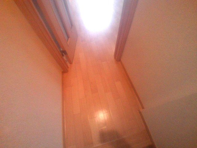 ドゥムールストレチアのその他共用部分