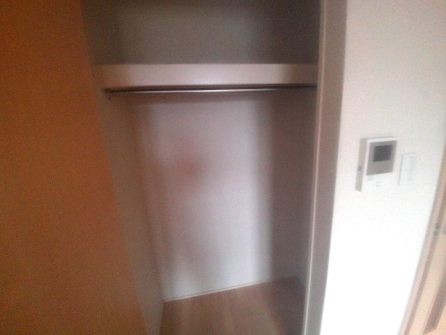 ドゥムールストレチアの収納