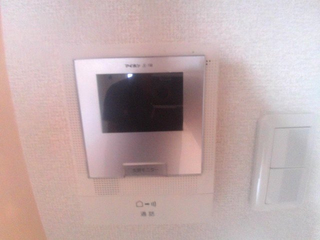 ドゥムールストレチアのセキュリティ