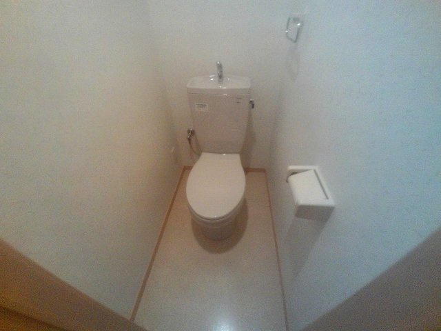 ドゥムールストレチアのトイレ