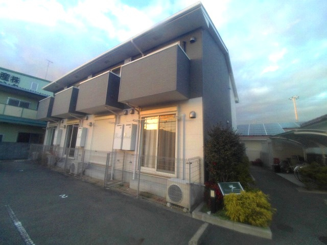 ドゥムールストレチアの外観