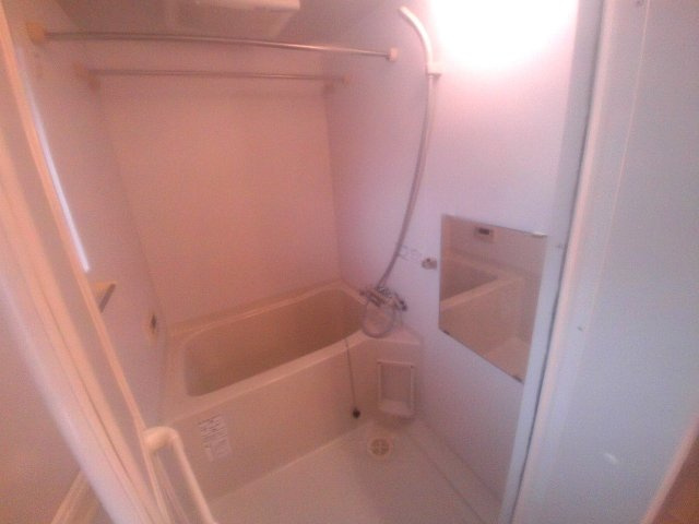 ドゥムールストレチアの浴室