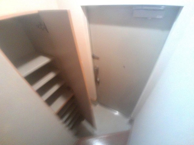 ドゥムールストレチアの玄関