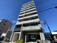 プライムローズの画像