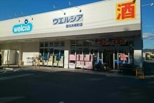 プチ・リヴェールの周辺|ウエルシア豊川大崎町店様まで730m