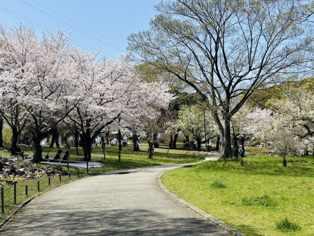 東上野芝町　売土地のその他