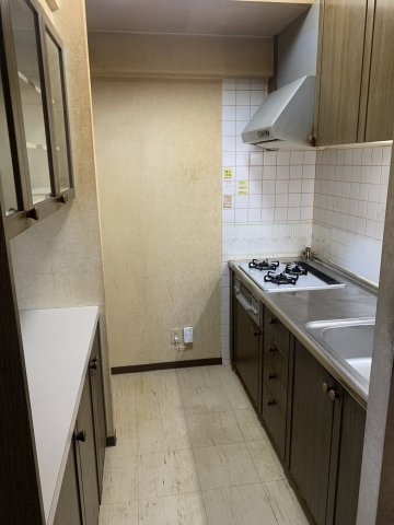 ダイアパレス文理大南壱番館の画像