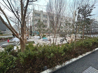 【展望】