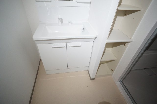 ラ・ビスタ宝塚サウステラス二番館の洗面所