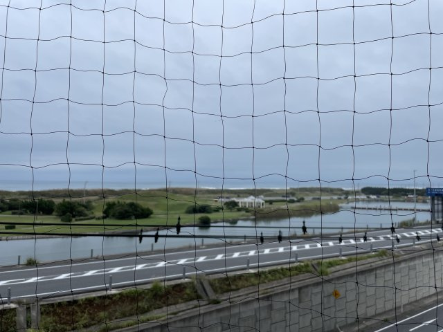 フラワーパレス白子の展望