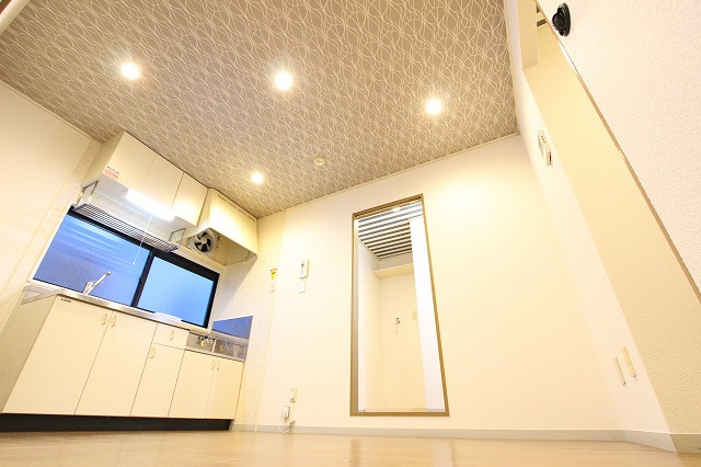 ビューラーケイズA