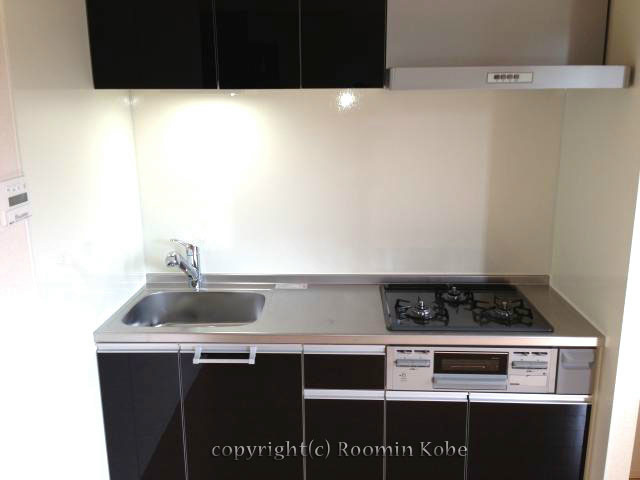 グランアヴァンティⅡのキッチン