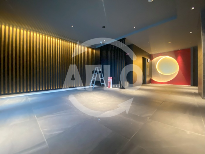 プレサンスＮＥＯ新深江リュミエル　長堂小学校のロビー|グリュックメゾン　エフシンフカエ１４　ロビー