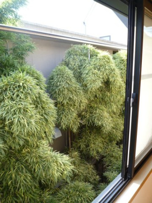 【展望】 | Mハイツ