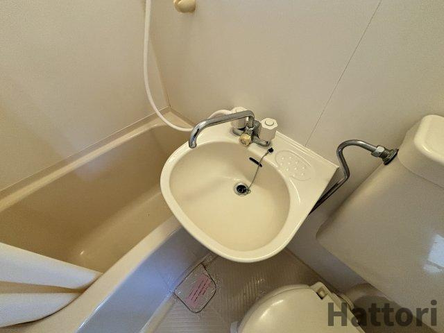 ロイヤルコート上池田の洗面所