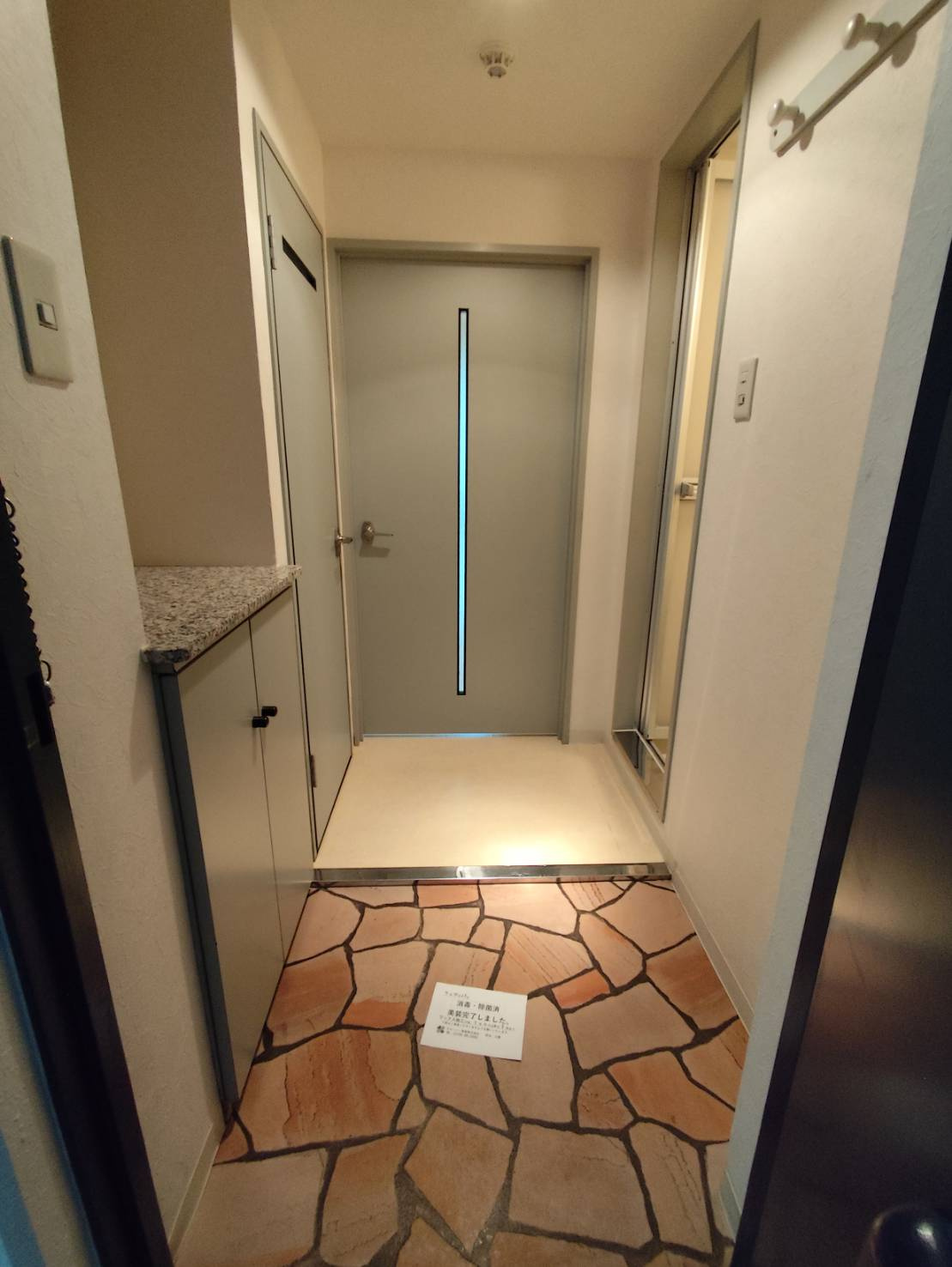 ノースコート新橋Ⅱの玄関