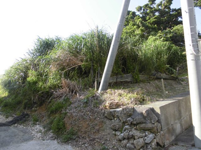 【外観】 | 【土地】北中城村喜舎場100.73坪