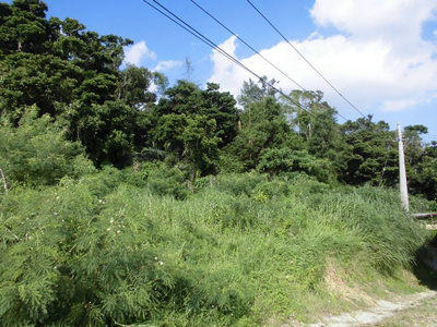  | 【土地】北中城村喜舎場100.73坪